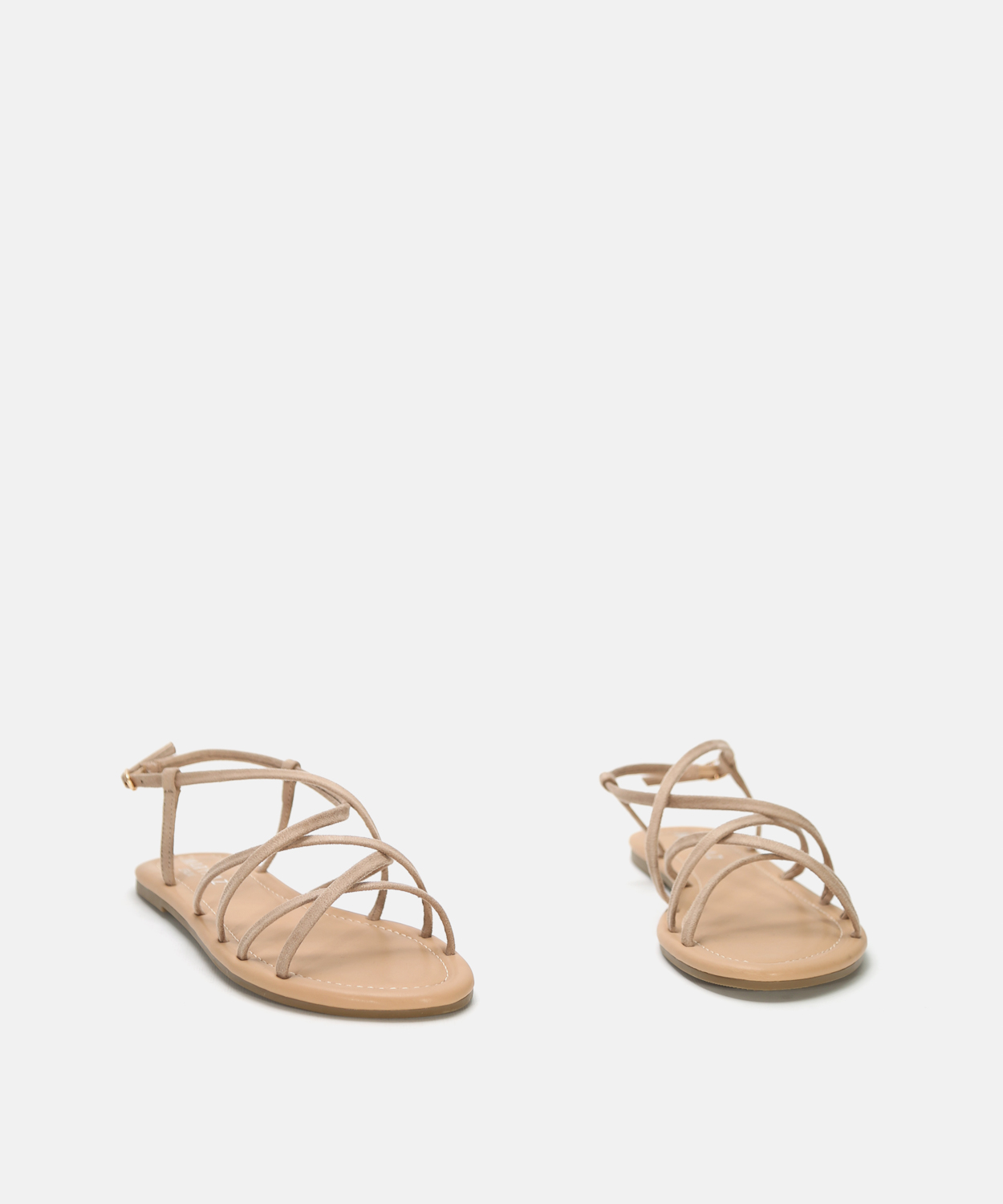 Sand&aacute;lia plana multitirras image number null